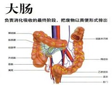 两种蛋白或将预测结肠癌扩散