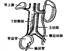 症状起因