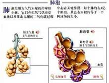 症状描述