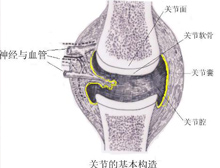 症状描述