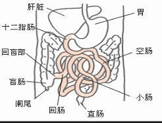 诊断