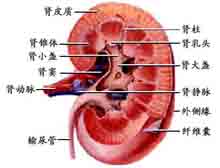 症状起因