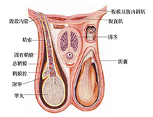 症状描述