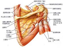 症状起因