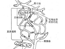 症状描述