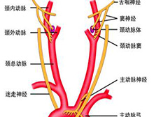 症状描述