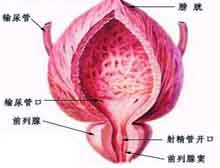 症状起因