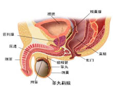 症状描述