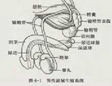 症状描述