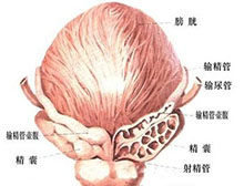 症状描述