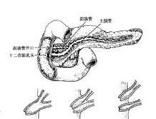 症状起因