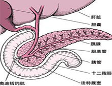 症状诊断/鉴别