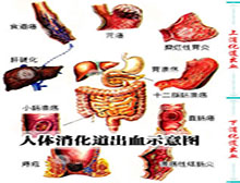 症状诊断/鉴别