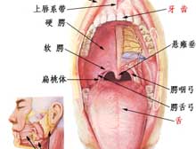 症状起因