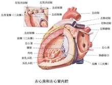 症状描述