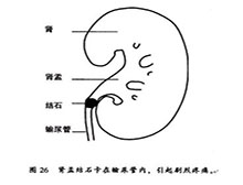 症状起因