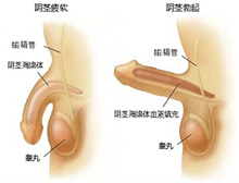 症状描述