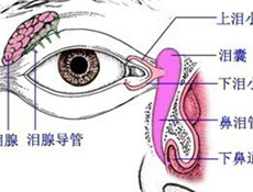 简介