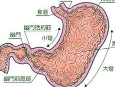 简介