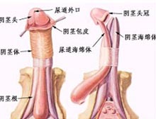 症状诊断/鉴别