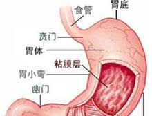 症状描述