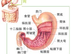 疾病简介