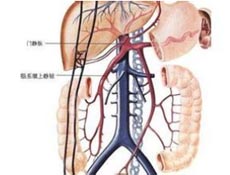 疾病简介