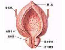 简介