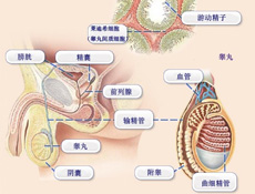 概述