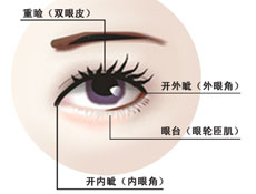 应用范围