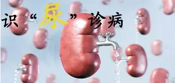 尿微量白蛋白高是怎么回事?