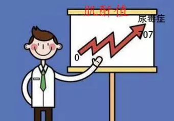 血肌酐升高就意味着肾功能减退？