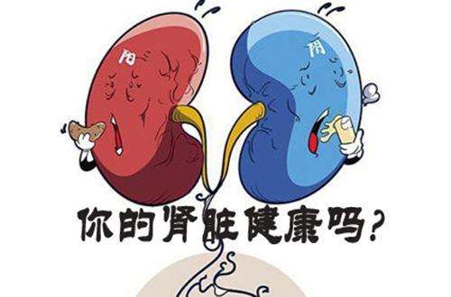 怎么发现肾脏病？