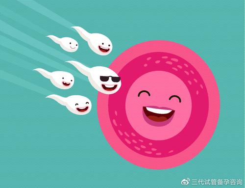 中山试管医院怀孕成功率有多高__圆梦医疗