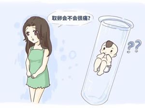 呼和浩特哪里能做三代试管？试管费用多少？