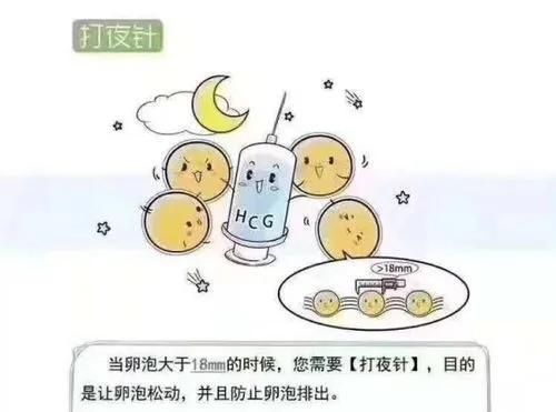 襄阳做试管哪里好，成功率高？