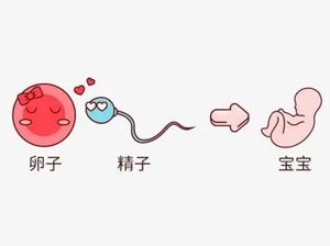 张家界助孕湖南辅助怀孕试管婴儿移植后可以侧睡吗