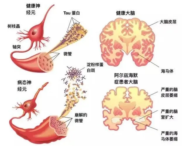 长沙和谐口碑优秀 长沙和谐口碑重点