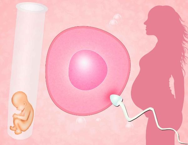 巢小会影响怀孕吗?小巢手术三代试管婴儿能成功吗?